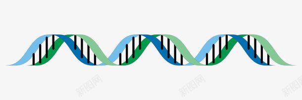 蓝绿螺旋条png免抠素材_88icon https://88icon.com DNA 基因 绿色 蓝色 螺旋 螺旋线