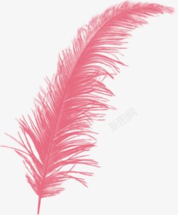 羽毛翅膀粉色羽毛素材