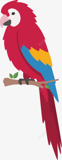 红色鹦鹉可爱的鹦鹉矢量图高清图片