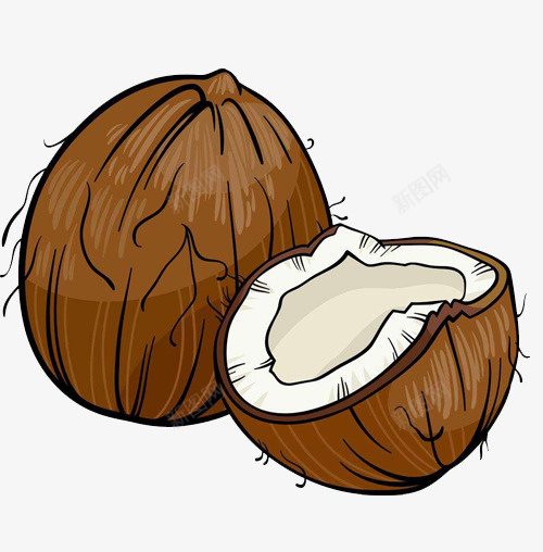 棕色手绘的椰子png免抠素材_88icon https://88icon.com 动漫动画 卡通手绘 椰子 水果 装饰图 食品 饮品