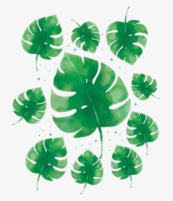 水彩绘夏季热带树叶卡片素材