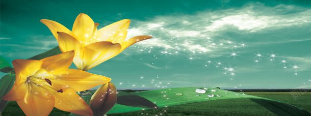 春天黄色百合花背景jpg设计背景_88icon https://88icon.com 图片 底纹图片 春天 百合花 背景底纹 黄色