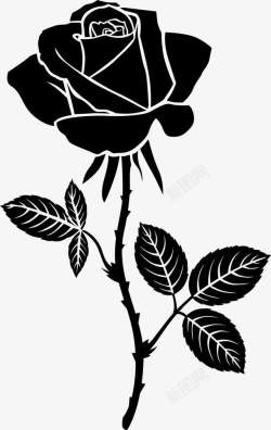 手绘带刺的玫瑰花素材
