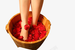 足浴玫瑰花足浴图高清图片