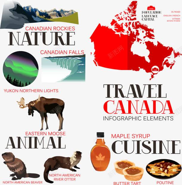 加拿大国家特产png免抠素材_88icon https://88icon.com 加拿大 加拿大国家特产 加拿大地图 加拿大文化 动物 国家特产