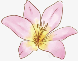 手绘春天粉色花朵矢量图素材