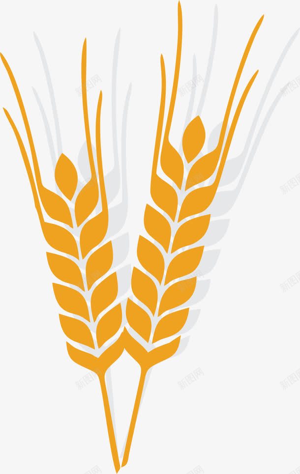 成熟的稻谷png免抠素材_88icon https://88icon.com 丰收 农田 卡通 大米 小米穗 成熟 水稻 稻田 稻谷 米穗 麦子 麦穗