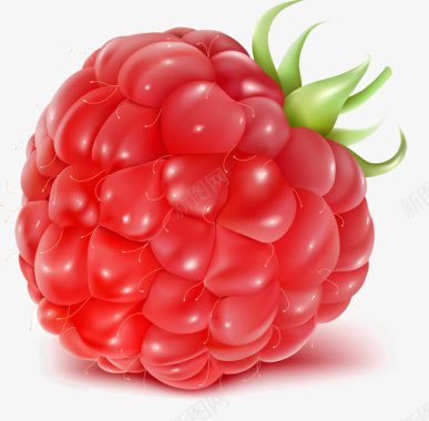 红色美味桑葚手绘水果卡通桑葚图标图标