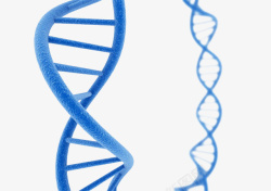 蓝色dna遗传物质基因肽链脱氧素材