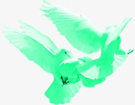 绿色白鸽部队展板png免抠素材_88icon https://88icon.com 展板 白鸽 绿色 部队