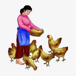 农村妇女农村妇女喂母鸡高清图片