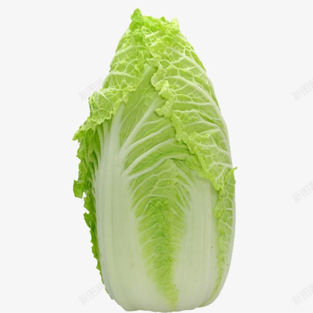 白菜png免抠素材_88icon https://88icon.com 健康蔬菜 摄影 植物 白菜 白菜图片免费下载 绿色蔬菜 美味蔬菜 营养蔬菜 蔬菜 蔬菜主题