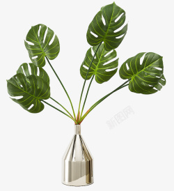 金属光泽花瓶绿植素材