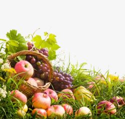水果蔬菜健康食品广告新鲜的蔬菜水果篮高清图片