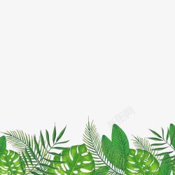 绿色热带植物边框装饰素材