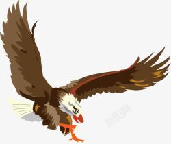 飞翔的老鹰水墨画手绘老鹰高清图片