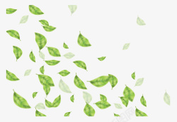 飘落的茶叶绿色飞舞飘落茶叶矢量图高清图片