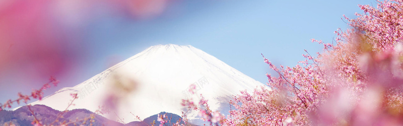 富士山背景jpg_88icon https://88icon.com 全屏banner背景 摄影 横幅背景 樱花 海报banner 白色 粉色 雪山 风景