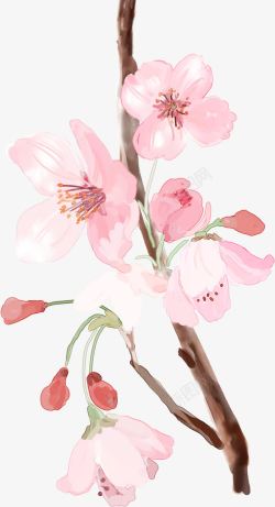 春季粉色古风桃花素材