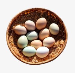 乡下绿壳鸡蛋创意阳光照射的土鸡蛋高清图片