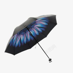 黑胶遮阳伞雨伞小黑伞高清图片