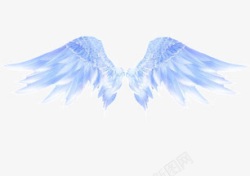 双翼天使之翼高清图片