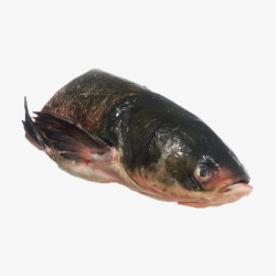大黄鱼产品实物新鲜花鲢鱼头高清图片