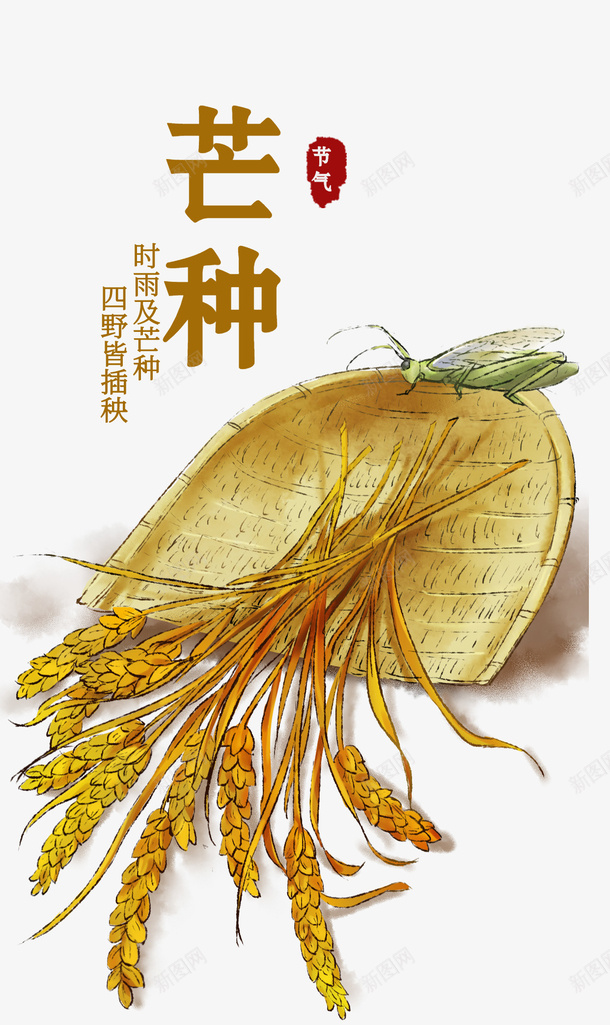 芒种农作物知了png免抠素材_88icon https://88icon.com 农作物 夏至 大暑 小暑 小满 知了 芒种 芒种节气 谷雨