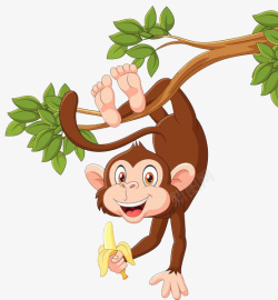 猴子吃香蕉倒挂在树上高清图片