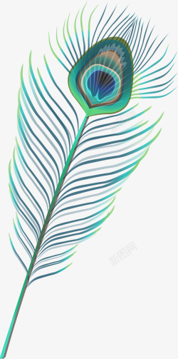 手绘孔雀羽毛花手绘风格绿色美丽羽毛矢量图高清图片
