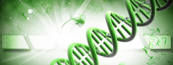 螺旋体3D虚拟基因遗传背景banner高清图片