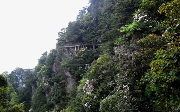 江西井冈山风景七png免抠素材_88icon https://88icon.com 井冈山 山水 旅游 风景