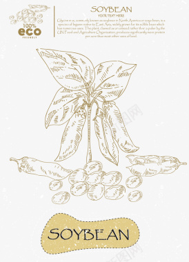 手绘线条蔬菜手绘荷兰豆矢量图图标图标