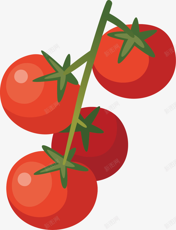 红色的西红柿矢量图ai免抠素材_88icon https://88icon.com 卡通手绘 水彩 番茄 红色 蔬菜 西红柿 食物 矢量图