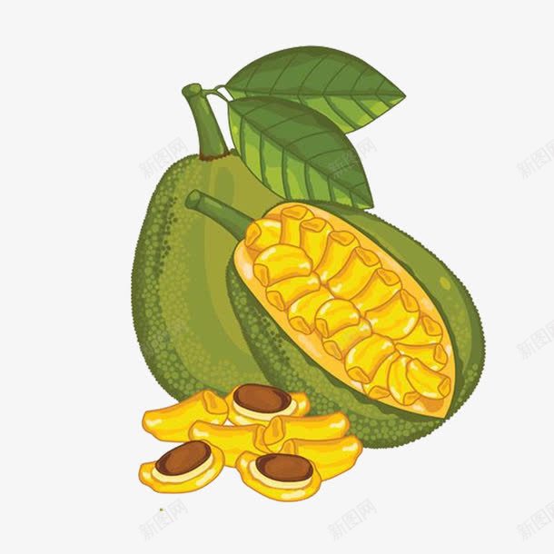 菠萝蜜png免抠素材_88icon https://88icon.com 卡通 卡通菠萝蜜素材 水果 美食 菠萝蜜果肉