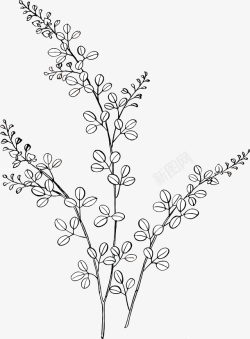 创意线描圣诞树手绘植物简笔画图案矢量图高清图片