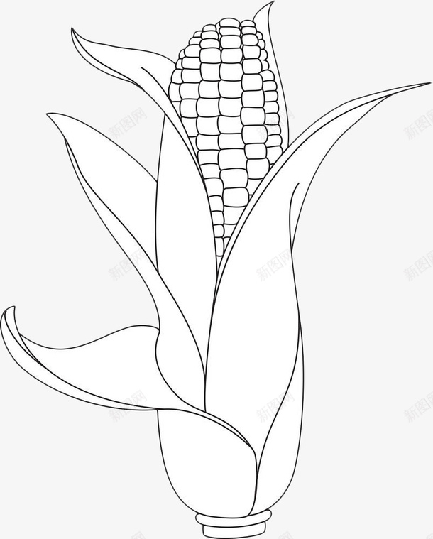 手绘玉米棒png免抠素材_88icon https://88icon.com 五谷杂粮 手绘 植物 玉米 玉米杆 玉米棒 线条 黑色