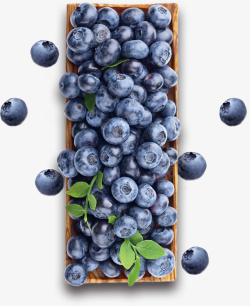 新鲜浆果免抠PNG一盒子蓝莓实物高清图片