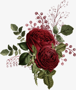 手绘浪漫红色花卉植物矢量图素材