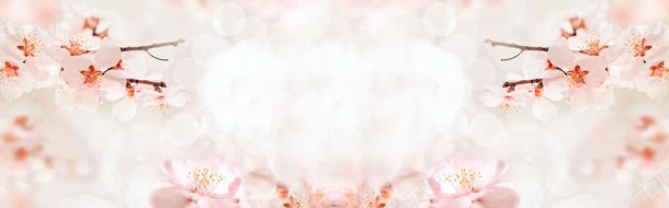 唯美桃花海报背景jpg设计背景_88icon https://88icon.com 创意 大气 海报 淘宝 淘宝banner 淘宝海报 简约