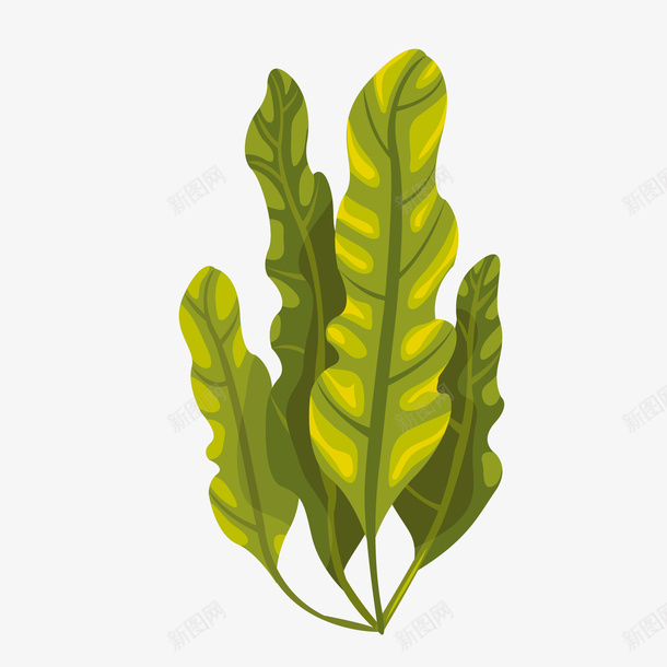 卡通绿色海藻树叶海底世界珊矢量图eps免抠素材_88icon https://88icon.com 免抠图PNG 卡通 树叶 海底世界 海藻 珊瑚 矢量卡通绿色海藻树叶海底世界珊瑚免抠图PNG免费下载 矢量图 绿色 绿藻 藻类卡通