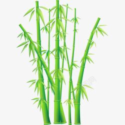 绿色竹子装饰图矢量图素材