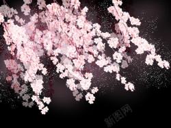夜空下的粉色樱花海报背景素材