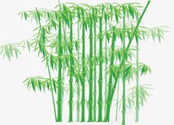 手绘绿色竹子素材