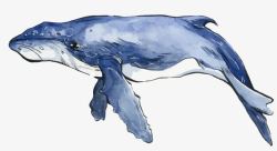 蓝色水彩鲸鱼矢量图素材
