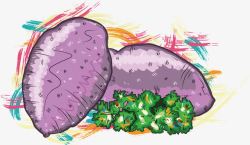 手绘紫薯素材