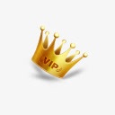 王冠vip图案图标图标