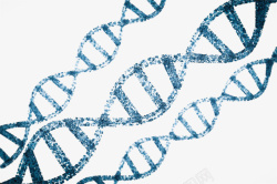 藏青色dna遗传物质基因肽链脱素材