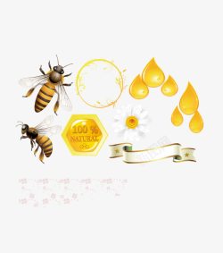 蜂蜜蜂巢蜜蜂模板素材