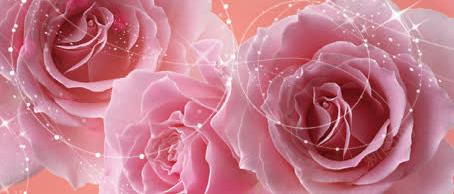 粉色玫瑰花展架模板png免抠素材_88icon https://88icon.com X展架设计 x展架 展架 展架模板 展架海报 海报 海报素材 炫彩展架 玫瑰花 粉色